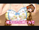 PSO2解説おさげ娘にえっちな罰ゲームするだけの動画【PSO2ぶれいく番外】