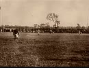 History of Baseball 01