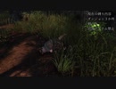 【Skyrim】ランダムに任せるスカイリム＃５ 後編【縛りプレイ】