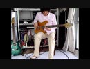 【 Le cygne 】Saint-Seans