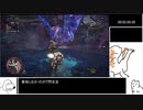 歴戦王ネロミェール　ガンランス　8’54’’36