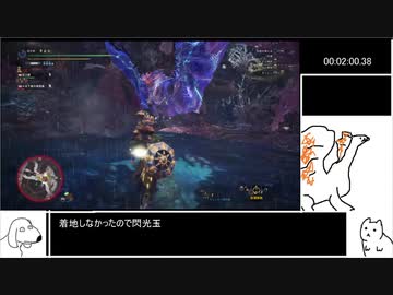 歴戦王ネロミェール　ガンランス　8’54’’36