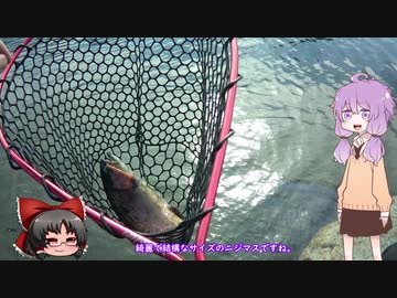 彩の国探訪録 番外編「ちょっとそこまで釣～りんぐ トラウトかんつり」【結月ゆかり車載】