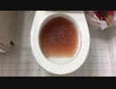 スキットルズをトイレに流してみた１