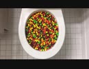 スキットルズをトイレに流してみた２
