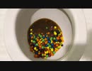 M&M'sとスキットルズをトイレに流してみた１