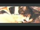 sleepiness / N!coCo(prod.seekx)