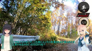 【ロードバイク車載】京桜自転車月報！~ぐらべる！編　前編～