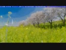 #157【朗読】真相の最果てにあるのは幸福か絶望か。『死月妖花～四月八日～』