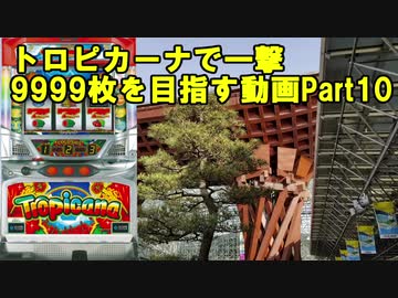 【パチスロ】トロピカーナ 一撃9999枚を目指す Part10