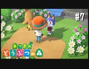 シリーズ初プレイ勢の「あつまれ どうぶつの森」#7【実況】