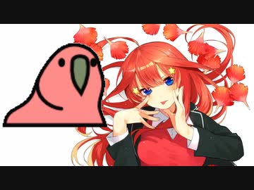 【party parrot】例の鳥が五等分の花嫁のopを見ています