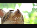 ストラジ Another Side「猫の島」
