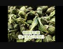 【AIきりたん】ささだんごのうた/たべるんごのうた【NEUTRINOカバー】