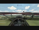 [Rise of Flight] WW1 Dog Fight ~Albatros D.Va~