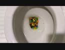 M&M'sとスキットルズをトイレに流してみた２
