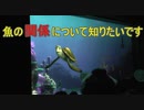 魚の関係について知りたいです【タートルトーク】東京ディズニーシー