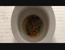 スキットルズをトイレに流してみた４