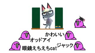 推し住人をプレゼンして性癖が露呈する鳥たち【あつ森】