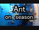【アリの飼育記2冊目#2】今年もそろそろアリのシーズンが始まりそうです　Ant season begins