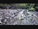 8分ほどひたすら清流
