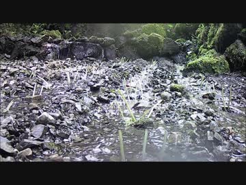 8分ほどひたすら清流