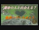 【ゼルダの伝説ブレスオブザワイルド】パワースポットで運気を上げよう！【実況プレイ】part41