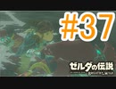 【ゼルダの伝説ブレスオブザワイルド実況】3Dで広大な世界を自由に走り回れる楽しさをおすそ分け！？part37
