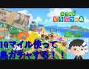 10万マイル使って離島ガチャする
