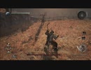 【仁王】箱いっぱいのアムリタをお届け　その参拾【初見実況】