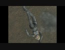 【SPY FICTION】新シェーラ ryona 4