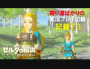 【寄り道ばかりの】ゼルダの伝説BotW【実況プレイ記録73】道すがらのウツシエ