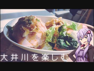 状態異常でも突き進むツーリング　Vol.7【大井川鉄道と再発見その２】
