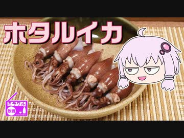 ミラクル飲酒ラジオ 《ホタルイカで晩酌》