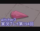 探し人を求めてwitcher3実況プレイ第194回