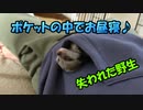 【コミカル】野生を失ったミーアキャットの寝方がこちら