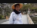 お遍路終盤、ハトに距離を詰められるチョウイチ