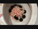 スキットルズとオレオのクッキーをトイレに流してみた
