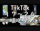 #43 Tik Tok１７～２４まとめ 番外編３【ハムスター物語】