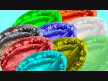 (MAXBuleBack劇場) ポケットモンスター　「ピンキーの三日間洗ってないクリトリス/野獣先輩の使用済みナプキン」実況プレイ part3恒河沙（終)