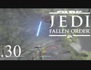 パダワンがジェダイマスターを目指してスターウォーズジェダイフォールンオーダーを実況プレイする.30[STAR WARS JEDI FALLEN ORDER]