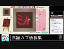 2020年05月03日【あつまれどうぶつの森】競馬場を作ろう！【放送アーカイブ】