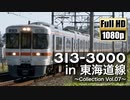 【JR東海】313系3000番台 in 東海道線 ～Collection Vol.07～