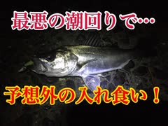 ２０２０年！バチ抜けシーバス開幕？！【もっち釣動組合♯７０】