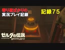 【寄り道ばかりの】ゼルダの伝説BotW【実況プレイ記録75】気になってた事