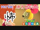 【あつまれ どうぶつの森 実況】アイテムを賭けてチューこと一発勝負！島から引っ越したがる住民たち 14日目【あつ森】