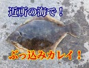 ぶっ込み釣りで！カレイ４５cm！【もっち釣動組合♯７１】