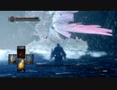 [ダークソウル]初心者による初見な冒険[REMASTERED]その62