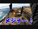 千葉県南房総の地磯でメジナ釣り！【もっち釣動組合♯７２】