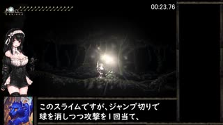 【さいそう】Sinisistar ラスボス撃破RTA in 18:16.03　解説動画